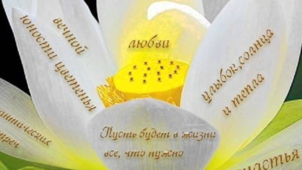 Пожелания счастья в день рождения