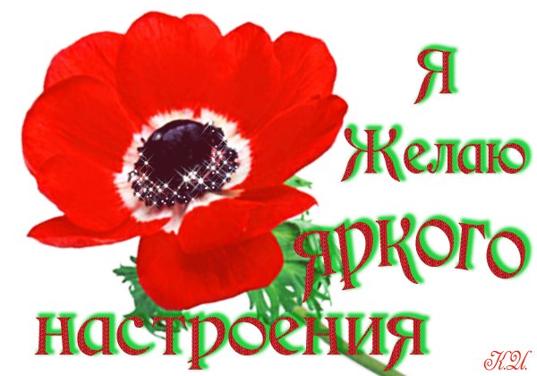 Пожелания с добрым утром вторника