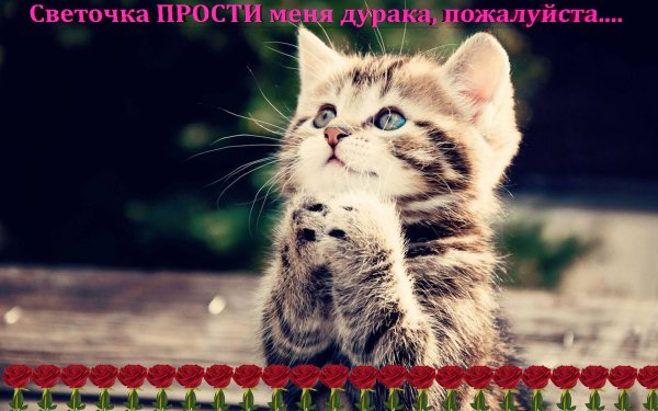 Прости картинки