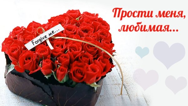 Прости меня любимка