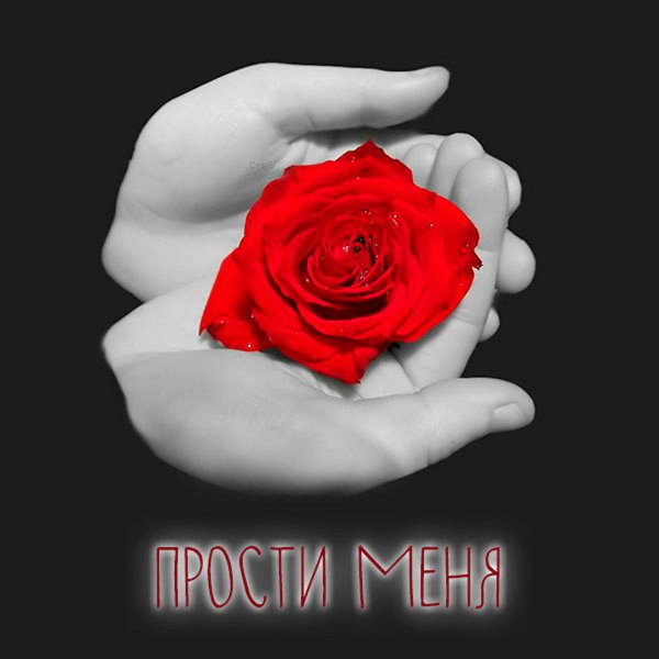 Прости меня сердце