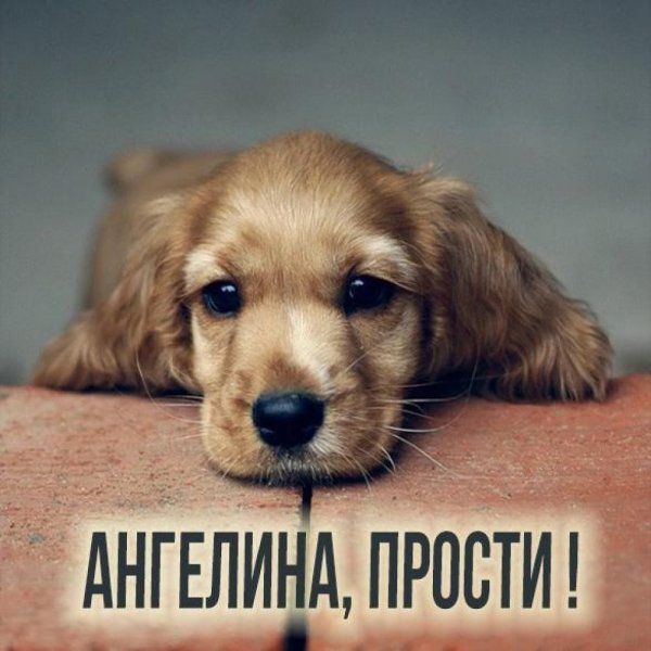 Прости картинки