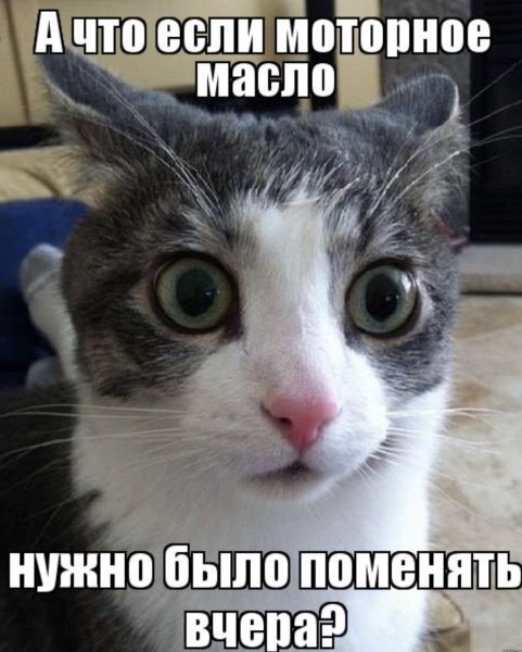 Да не бред какой-то