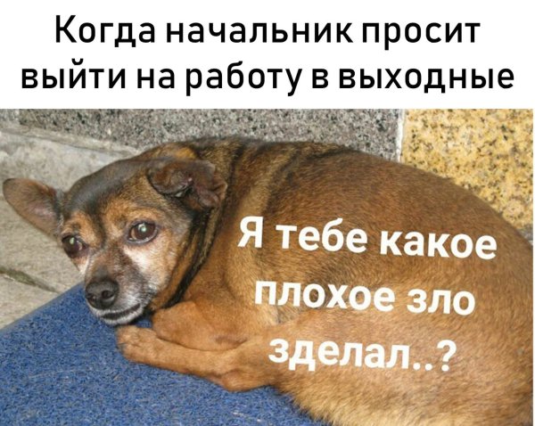 Я тебе кпкте плохре хло сдклво