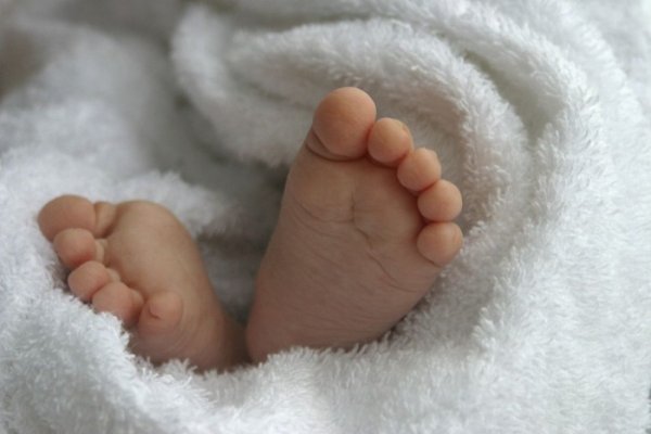 У меня родился внук