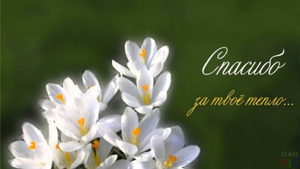 Спасибо за заботу