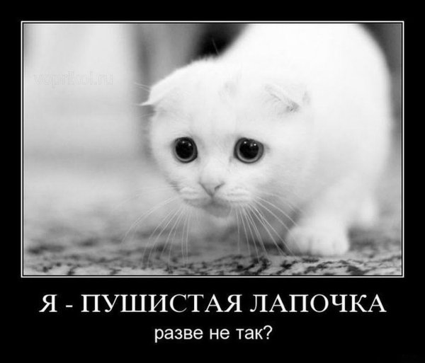 Солнце ну пожалуйста