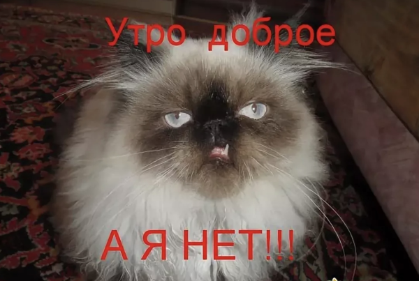 Статусы для девочек