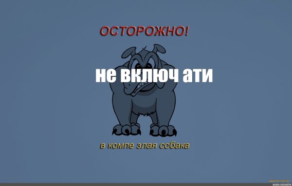 Бешеная белка