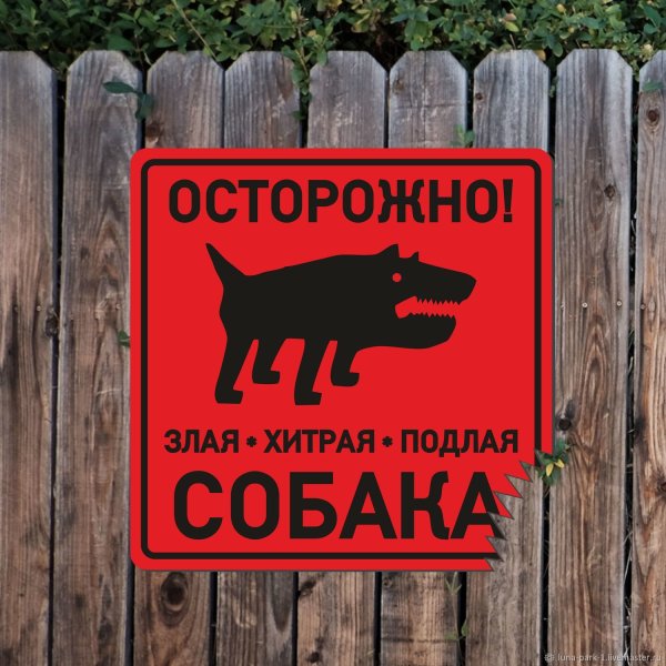 Осторожно злая собака а кот вообще псих