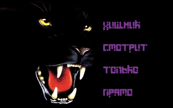 Осторожно злая собака а хозяин