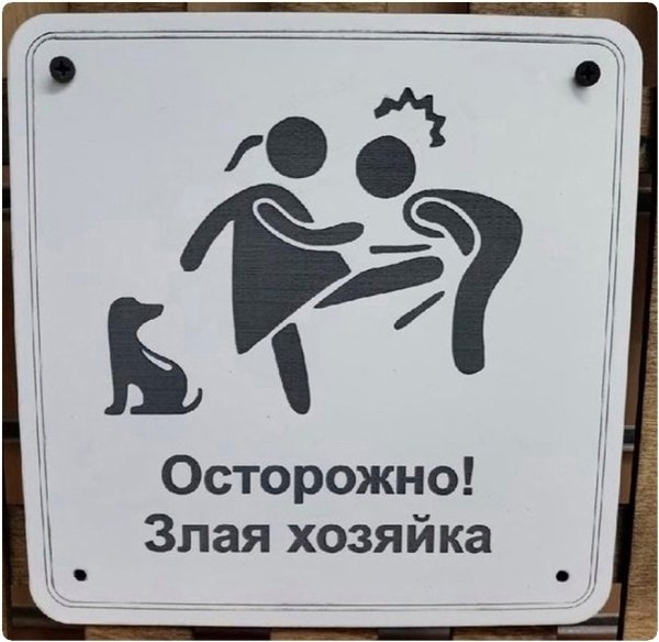 Злая собака прикол