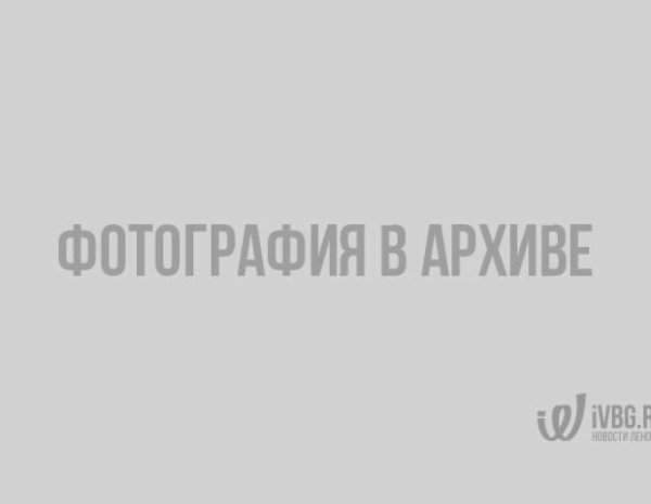 Какое зло я тебе сделал