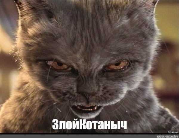 Мария Плетюхина