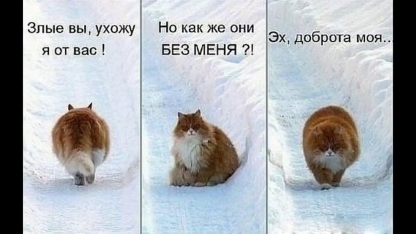 Мемы про работу