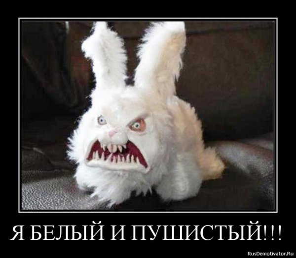 Белый и пушистый