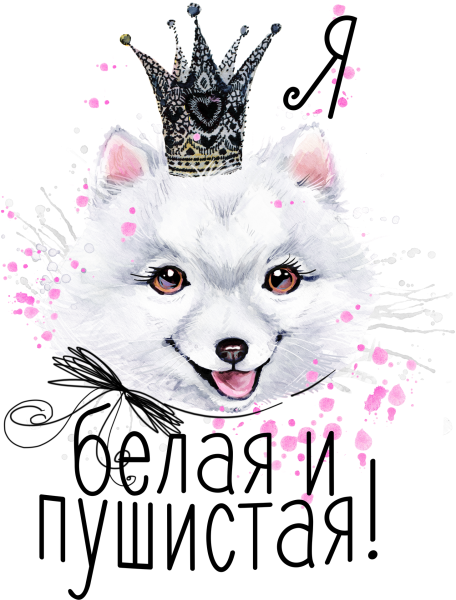 Злая зая