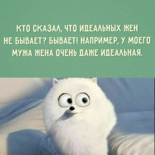 А вообще я добрая и пушистая