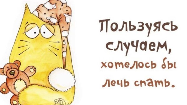 Афоризмы про кровать