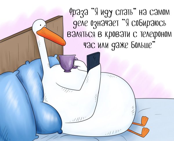 Не забудьте почитать перед сном