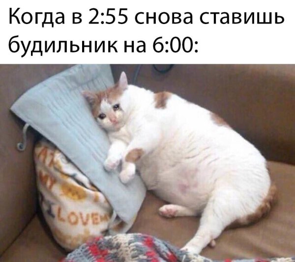 Спокойной ночи хорошо отдохнуть и выспаться