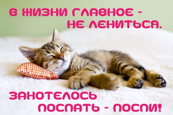За день мы устали очень