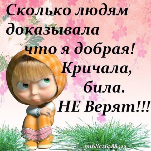 Смешные статусы в картинках