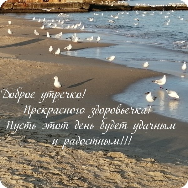Надписи для фотошопа
