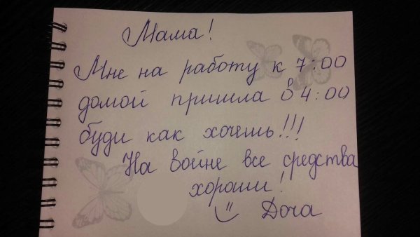Кот наказан смешные картинки