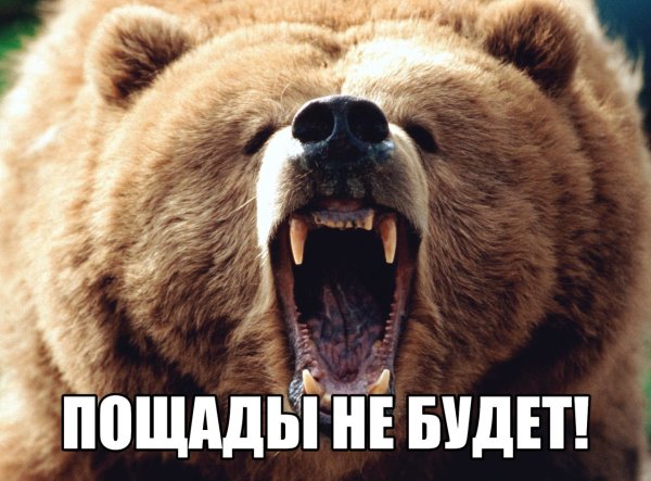 Проснулся прикол
