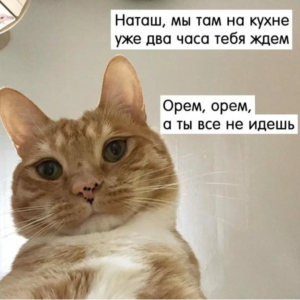 Раствориться в любви