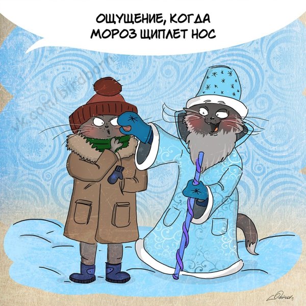 Приколы про холод