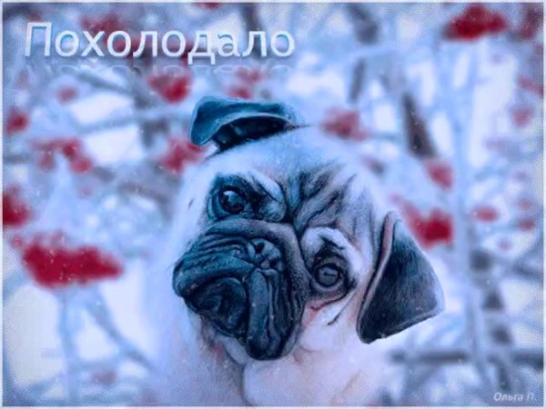 Открытки похолодало