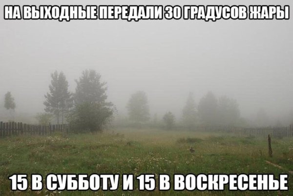 Анекдоты про Холодное лето