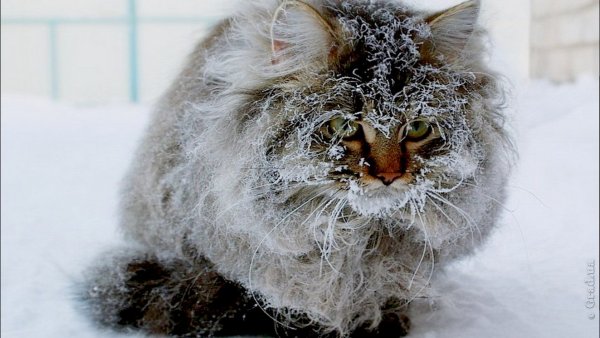 Когда пришел домой