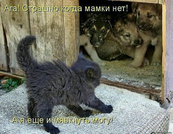 Девушка с чемоданом