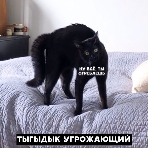 Боишься не делай делаешь не бойся