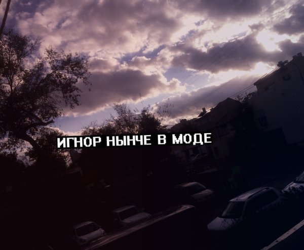 Цитаты про игнорирование