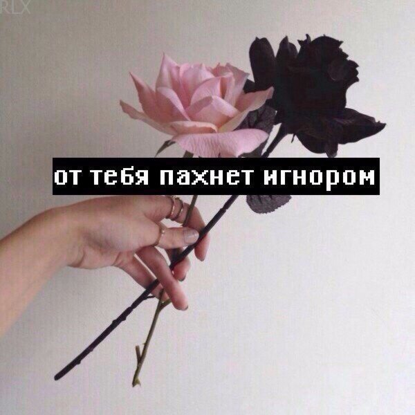 Запах игнора