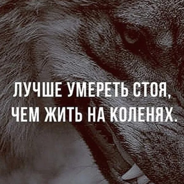 Картинки лучше смерть чем