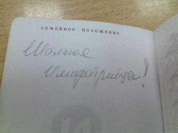 Семейное положение в паспорте