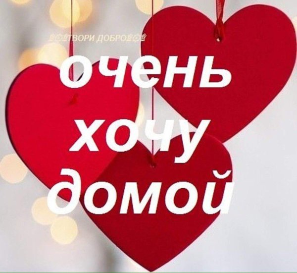 Хочу домой фото