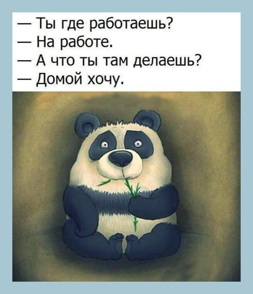 Панда юмор