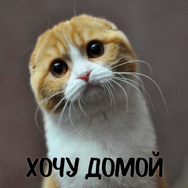 Картинки хочу посмотреть