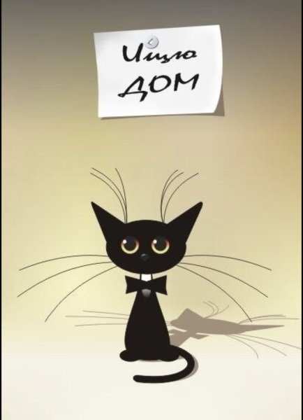 Котята которые ищут дом