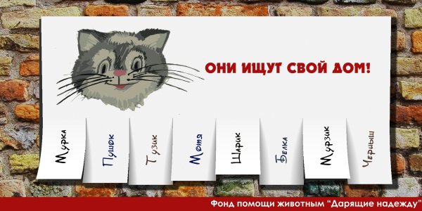 Объявления ищу дом