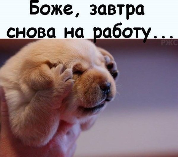 Господи завтра опять на работу