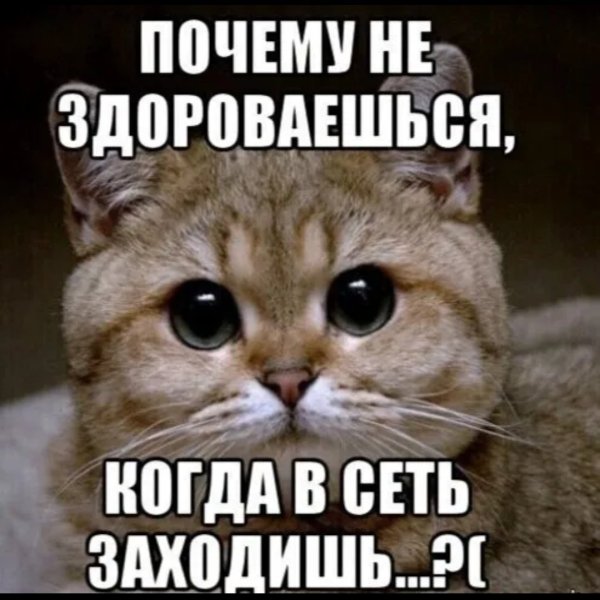 Почему ты не поздоровался