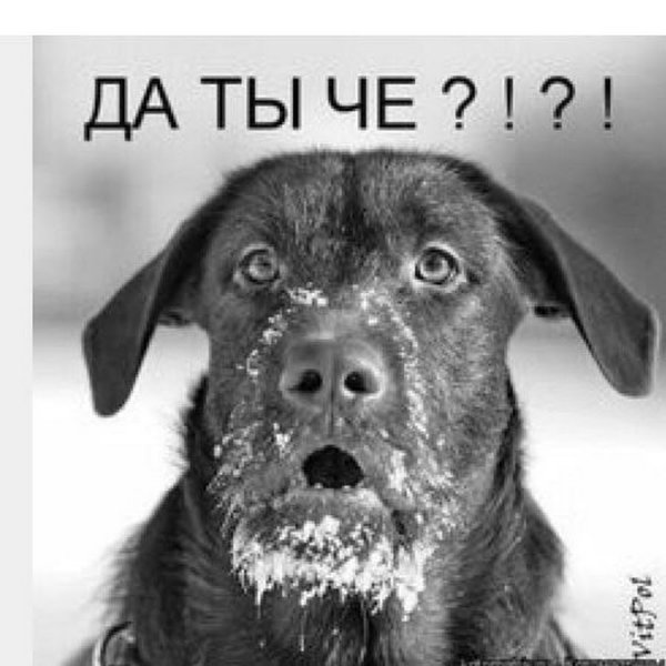Открытка я в шоке