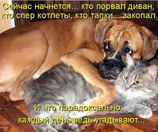Иди обниму картинки